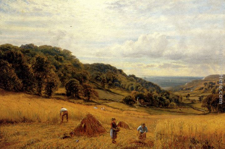 Harvesting At Luccombe, Isle Of Wight painting - Alfred Glendening Harvesting At Luccombe, Isle Of Wight art painting